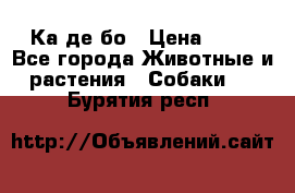 Ка де бо › Цена ­ 25 - Все города Животные и растения » Собаки   . Бурятия респ.